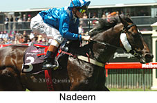 Nadeem (18507 bytes)