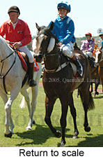 Return to scale (17769 bytes)