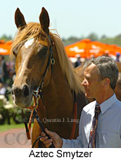 Aztec Smytzer (18507 bytes)