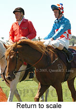 Return to scale (17769 bytes)