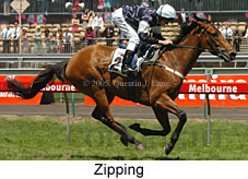 Zipping (18507 bytes)