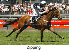 Zipping (18507 bytes)