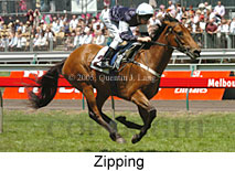 Zipping (18507 bytes)