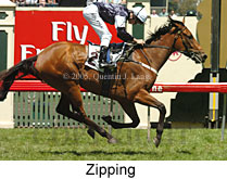 Zipping (18507 bytes)