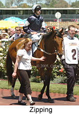 Zipping (18507 bytes)