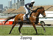 Zipping (18507 bytes)