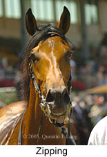 Zipping (18507 bytes)