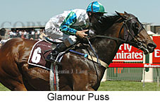 Glamour Puss (17076 bytes)