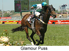 Glamour Puss (18507 bytes)