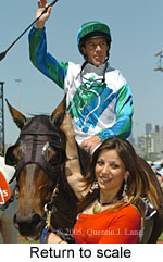 Return to scale (17769 bytes)