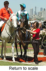 Return to scale (17769 bytes)