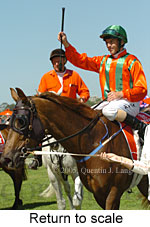 Return to scale (17769 bytes)