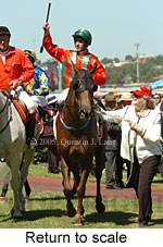 Return to scale (17769 bytes)