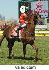 Valedictum (18507 bytes)