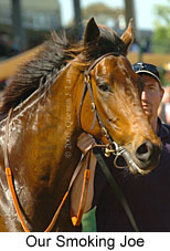 Our Smoking Joe (18507 bytes)