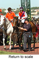 Return to scale (17769 bytes)