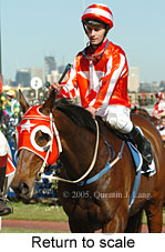 Return to scale (17769 bytes)