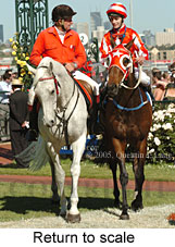 Return to scale (17769 bytes)