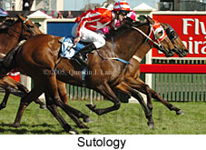 Sutology (18507 bytes)