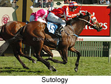 Sutology (18507 bytes)