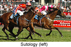 Sutology (18507 bytes)