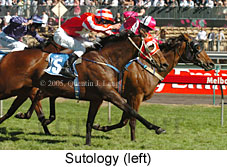 Sutology (18507 bytes)