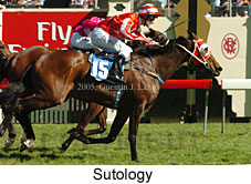 Sutology (18507 bytes)