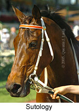 Sutology (18507 bytes)