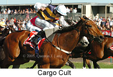 Cargo Cult (18507 bytes)