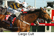 Cargo Cult (18507 bytes)