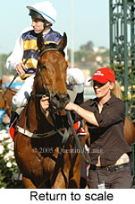 Return to scale (17769 bytes)