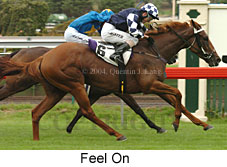 Feel On (15966 bytes)