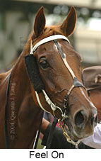 Feel On (11098 bytes)