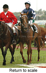 Return to scale (16177 bytes)