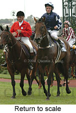 Return to scale (15080 bytes)