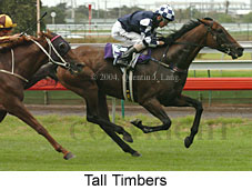 Tall Timbers (15542 bytes)