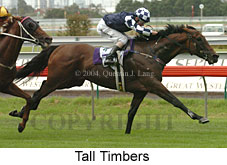 Tall Timbers (15537 bytes)