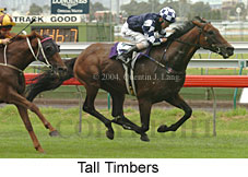 Tall Timbers (15878 bytes)