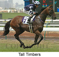 Tall Timbers (15039 bytes)