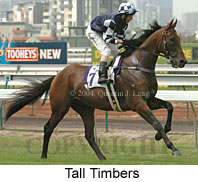 Tall Timbers (15518 bytes)