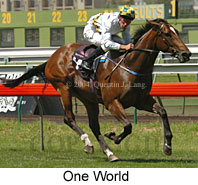 One World (16457 bytes)