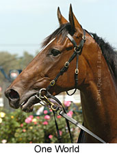 One World (13727 bytes)