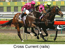 Cross Current (19248 bytes)