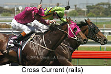 Cross Current (15692 bytes)