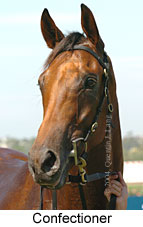 Confectioner (9937 bytes)