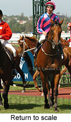 Return to scale (17601 bytes)