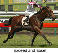 Exceed and Excel (15964 bytes)