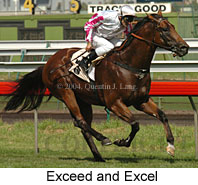 Exceed and Excel (16191 bytes)