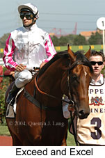 Exceed and Excel (14158 bytes)