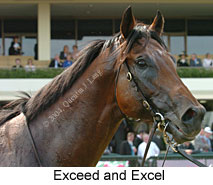 Exceed and Excel (14291 bytes)